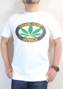 marijuana マリファナTシャツ【サイズ：S M L XL 2XL 】【3980円以上で】送料無料 Tシャツ メンズ 大きいサイズ 半袖 大麻柄Tシャツ ガンジャTシャツ ジャマイカ ハーブ ヘンプ キングサイズTシャツ ラッピング無料