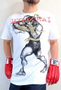 Muay Thai　古式ムエタイTシャツ送料無料　Tシャツ　メンズ　半袖　格闘技Tシャツ　ムエタイTシャツ　タイ式ボクシングTシャツ　キックボクシング　ラッピング無料