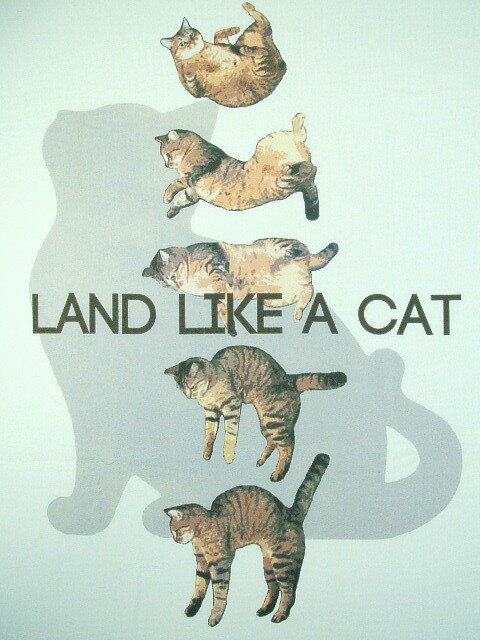 ネコ猫Tシャツ【サイズ：S 、M 、L 、XL 、2XL 】【3980円以上で】送料無料　Tシャツ　メンズ　半袖　大きいサイズ　猫メッセージ　CAT Tシャツ　ネコ マニア　猫好きTシャツ　落ちる猫　着地ネコ　ネコ諺　Tシャツ　キングサイズ　プレゼント包装無料