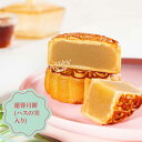 【常温便】広式中秋月餅 ハスの実入り月餅/広式蓮蓉月餅125g【4528462309685】