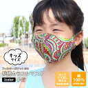 【SALE】【2営業日以内に発送可】布マスク おしゃれ キッズ 子供用 洗える 男の子 女の子 ストッパー付き 個性派 派手 カラーマスク ネイティブ柄 カラフ...