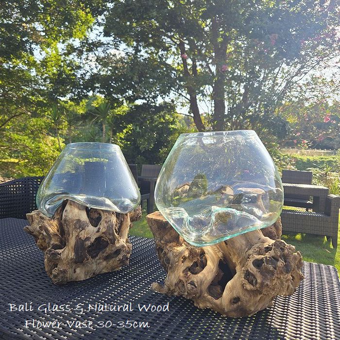 ガラス 流木 天然木 フラワーベース LLサイズ アジアン インテリア コケテラリウム アクアリウム メダ..