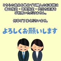 【送料無料】【1,000円ぽっきり】エスニックアクセサリー全4色!!ボヘミアン柄ゴムデザインヘアバンドヘアアクセ