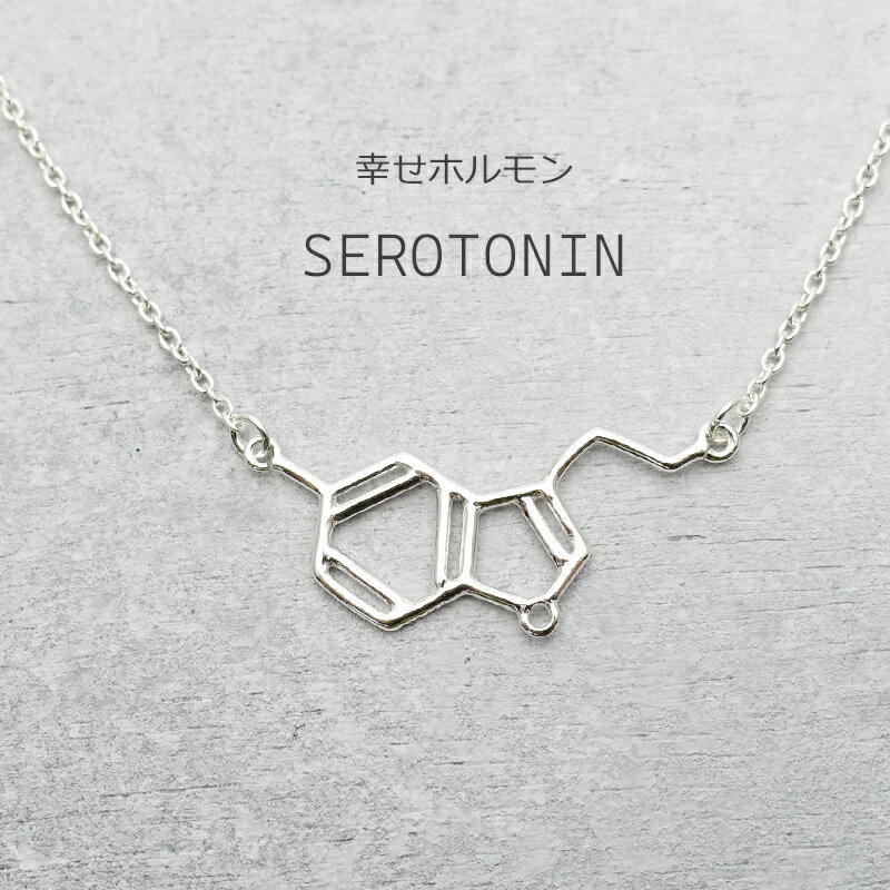 ネックレス 化学式 セロトニン レディース アクセサリー シルバー925 アレルギー対応 サイエンス ジュ..