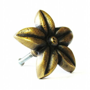 家具の取っ手 プルメリアの花 真鍮製 アンティーク調 ハンドル N-098 【メール便OK】