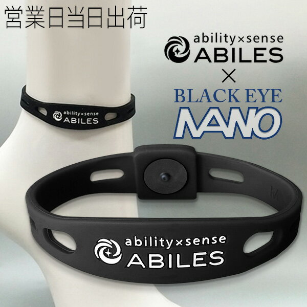 アビリス アビリスナノ アンクレット ABILES 丸山式コイル BLACK EYE搭載 電磁波防止 電磁波カット 電磁波対策 丸山医師 監修 1