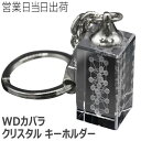 ユニカ WDカバラ クリスタル キーホルダー 医学博士 丸山式 丸山アレルギークリニック 院長 丸山修寛監修 ユニカ 正規品