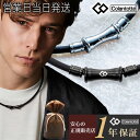 【P10倍】コラントッテ ネックレス TAO RAFFI シルバー/マットブラック colantotte 【正規品 タオ ラフィ 肩こり 解消グッズ 磁気ネックレス 冷え性 対策 男性用 女性用 メンズ レディース おしゃれ オシャレ】 プレゼント 秋ギフト