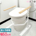 楽々健 トイレ手すり 「ラファミリア レスト スリム」 トイレ 手すり 立ち上がり 補助 介護 置くだけ 手元・足元蓄光材使用で光る 工事不要 コンパクト 狭い 省スペース 小さめ 集合住宅 アパート マンション【送料無料】