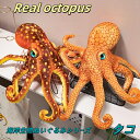 海洋生物リアルタコ ぬいぐるみ ダークブラウンとライトブラウンの2カラーから選べる 全長55センチ 高さ17センチ リアルで高級感のあるデザイン 大人から小さなお子様にも最適 知育玩具として 誕生日プレゼントに 子供部屋やリビングのインテリアに 【送料無料】