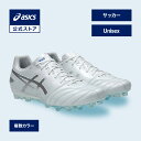 アシックス DS LIGHT PRO AG DS ライト プロ AG サッカーシューズ ユニセックス STANDARD|サッカースパイク 軽量 グラウンド 男性...
