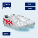 アシックス DS LIGHT ADVANCE WIDE DSライト アドバンス ワイド サッカーシューズ ユニセックス WIDE|サッカースパイク 軽量 グラウ...