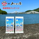 【放課後ていぼう日誌 × みなまた茶】特上玉緑茶 100g 2袋(化粧箱入り)