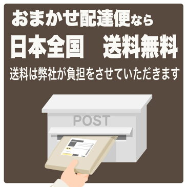 ほかほか遠赤帽子 ナイトキャップ ヘアキャップ 屋内外にかかわらず あったか遠赤帽子 お子様から大人まで 老若男女 在庫限り