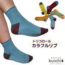 【送料無料】 靴下 メンズ ソックス 25cm 26cm 27cm リブ ショート エコソク おしゃれ 紳士 カラフル トリコロール デザイン カジュアル 春 夏 秋 冬 日本製 加古川(4)