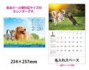 壁掛けカレンダー 2026 SA340 ワンニャンコンパクトカレンダー 壁掛け ブックタイプ カレンダー 犬ペット 犬カレンダー 動物 印刷 名入れカレンダー ...
