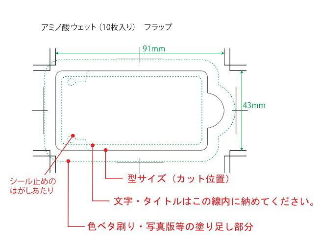 オリジナル ウエットティッシュ 印刷代込み 版代込み 凸版印刷 フラップ 名入れ 1...