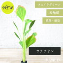 ウチワヤシ 人工観葉植物 180cm 光触媒 抗菌 防臭 観葉植物 造花 フェイクグリーン インテリアグリーン 水やり不要 お手入れ簡単 枯れない 虫がわかない...