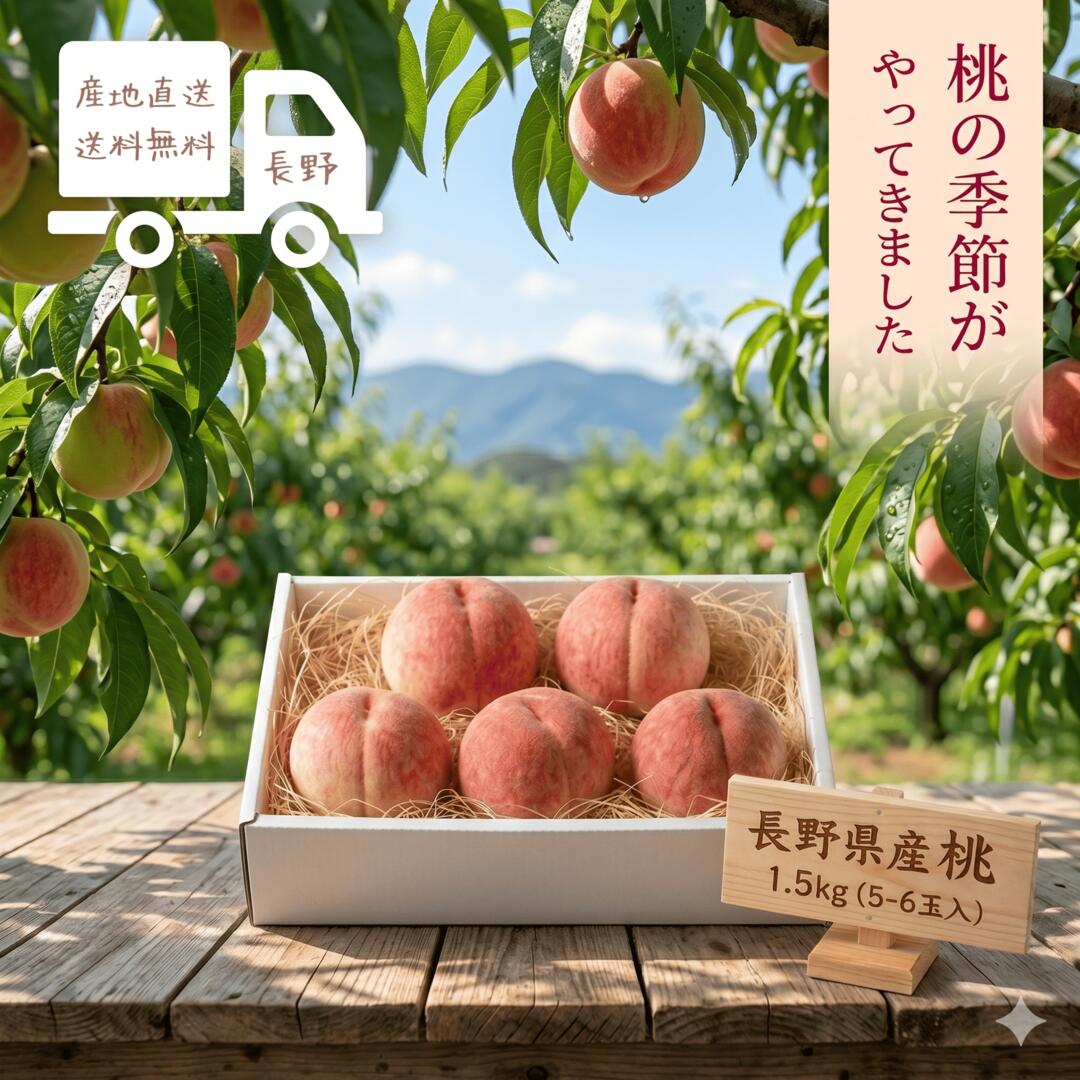 長野県産 桃 川中島白桃 フルーツ 果物 くだもの 長野県 産地直送 産地厳選 家庭用 詰め合わせ  ...