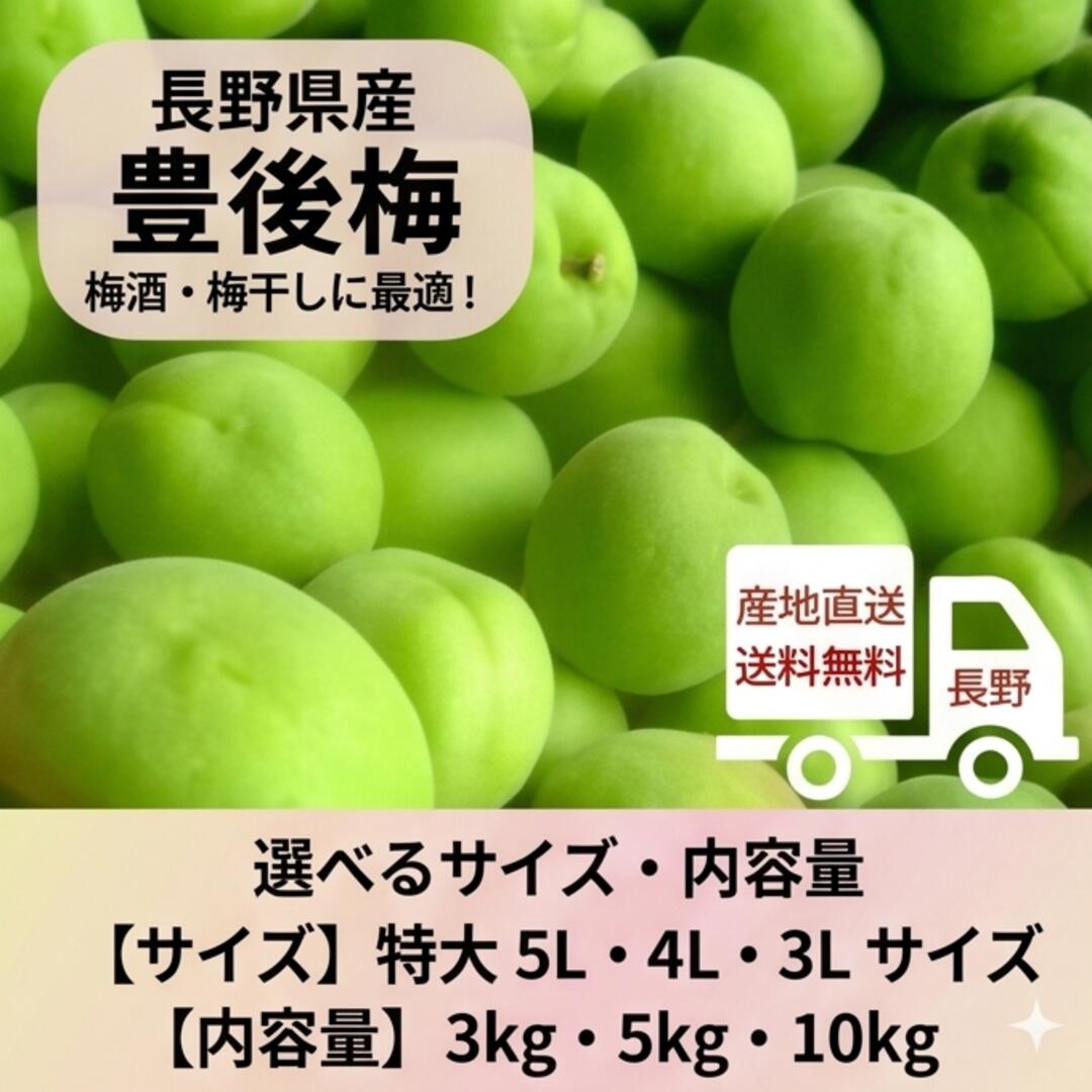 楽天市場】梅 高田 豊後の通販
