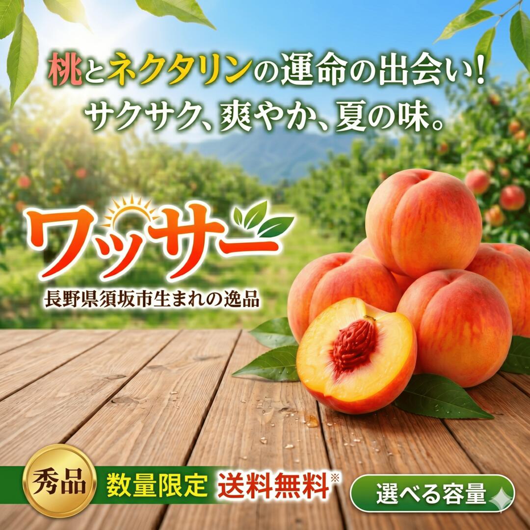 楽天市場】ワッサーの通販