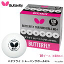 【Butterfly】95840 バタフライ トレーニングボール40＋（10ダース・120個入）バタフライ 卓球用品 卓球小物 ボール プラスチックボール トレーニングボール 高品質 まとめ買い ギフト 贈り物 通販