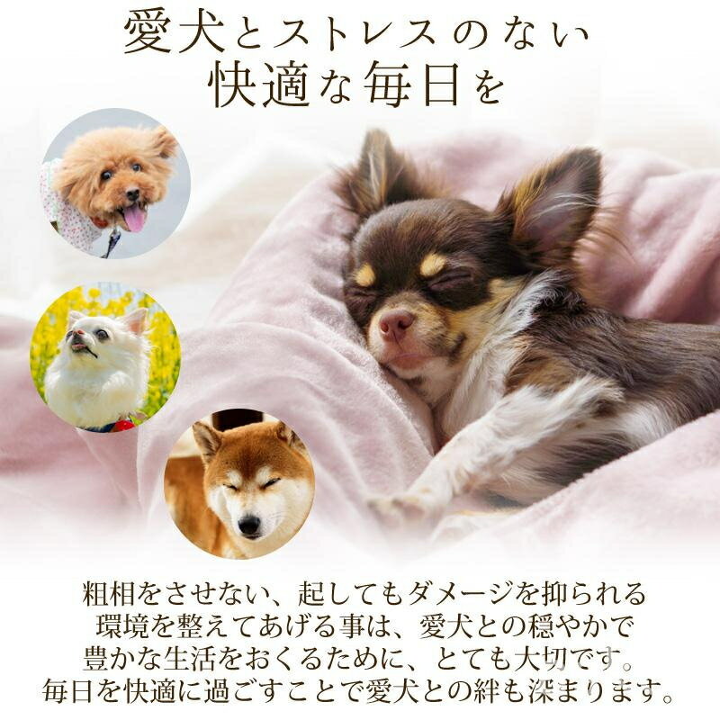 【赤字覚悟！】送料無料 ペットシーツ 2枚セット シート 厚手 洗える スーパーワイ...