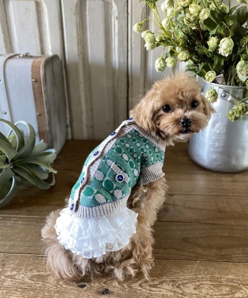 Rakuten - as know as ドドッとニットPO 犬 ニット プルオーバー デワン