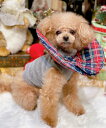 【期間限定P5倍】as know as N一緒にサポートTT2 犬 カットソー キャミ タンク ドッグウェア かわいい おしゃれ エリザベスカラー 寄り添いシリーズ デワン