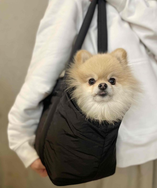 as know as ふわかるっDOGキャリー 犬 �