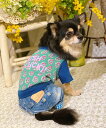 as know as Nサラサ柄エスニックSH 犬 デワン