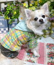 as know as NサンライトフードPK 犬 インド綿 チェック ドッグウェア 犬服 かわいい おしゃれ カジュアル デワン