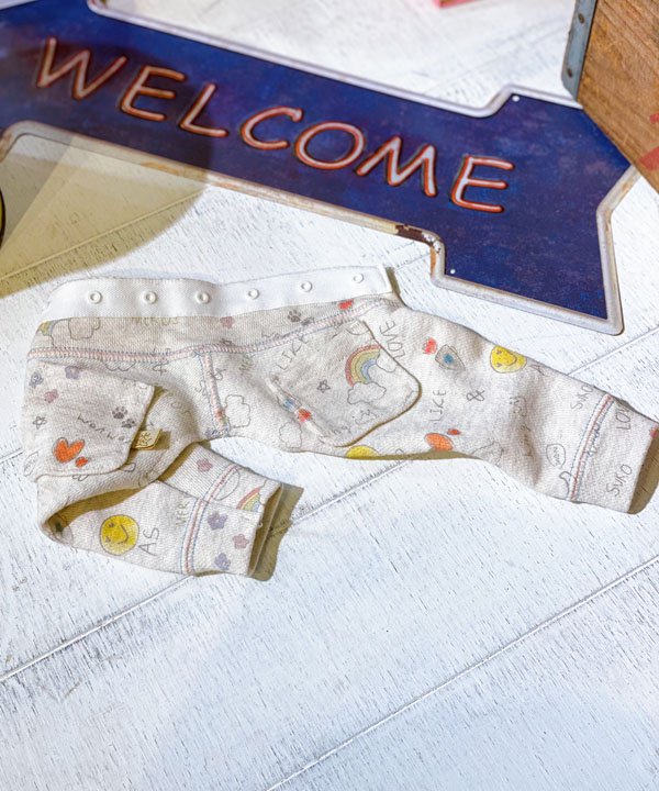 【期間限定P5倍】as know as NメロイスコPT 犬 ボトムス カットソー パンツ 春 落書き かわいい おしゃ..