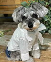 as know as NリボンボウタイSH 犬 ボウタイ リボン 犬服 ドッグウェア かわいい おしゃれ デワン