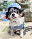 【期間限定P5倍】as know as デニムキャスケット 犬 グッズ キャスケット デニム ドッグウェア 犬服 おしゃれ かわいい カジュアル デワン
