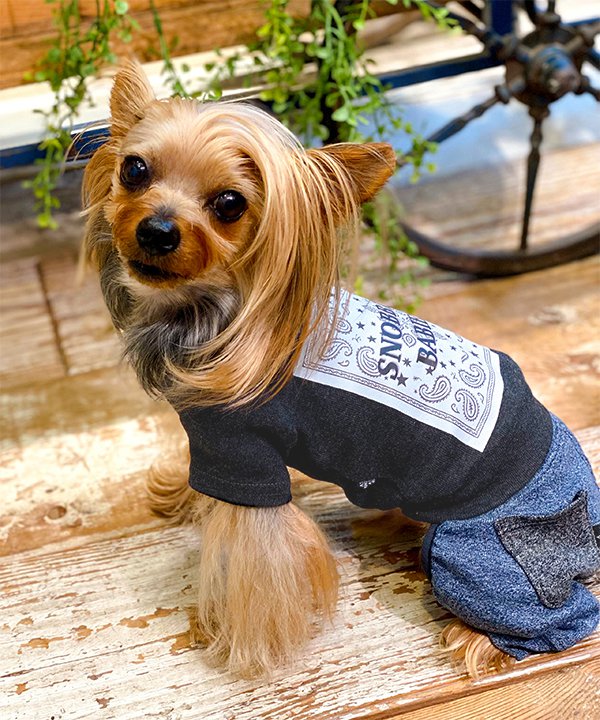 【期間限定P5倍】as know as NCバンダナT 犬 カットソー Tシャツ バンダナ プリント 犬服 ドッグウェア..