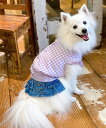 【期間限定P5倍】as know as NギンガムキャンディBL 犬 春 ギンガムチェック 後ろ開き 犬服 ドッグウェア デワン