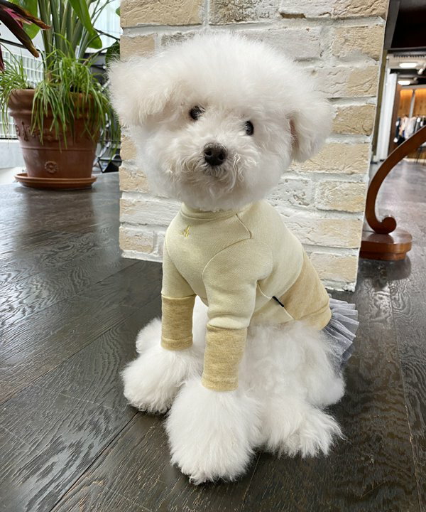 【期間限定P5倍】as know as NバイカラーあったかTT 犬 カットソー タートルネック 犬服 冬 防寒 デワン
