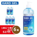 【300円クーポン・卸値可能】 ハンドジェル 500ml 6...