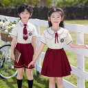 子供スーツ 2点セット 女の子 子供服 シャツ スカート 半袖 韓国風 プリーツスカート キッズ 入学入園 通学 式服 幼稚園 小学生 韓国子供 卒業式 七五三...