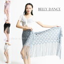 ヒップスカーフ ダンス衣装 ベリーダンス ダンスウェア 初心者向け 腰巻き 全4色 タッセル レッスン着 練習着 シースルー ベリーダンス衣装 ダンス授業 ダン...