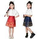 女の子 上下セット トップス 半袖 スカート 舞台ステージ衣装 可愛い 子ども服 中華風 漢服 ジャーガード 花柄 立ち襟 民族風 中国古代衣装 キッズ ジュニ...