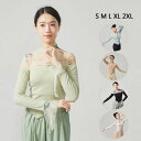 レディースダンストップス 新作 モダンダンス 練功服 チュール ブラウス 長袖 フレア袖 ハイネック 蝶柄 竹柄 着痩せ レッスン着 社交ダンス モダン バレエ...