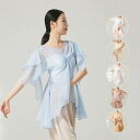 ダンストップス 古典ダンス衣装 ブラウス レディース Vネック チュール 紗ブラウス 薄手 シースルー 半袖 アシンメトリー シフォン 練習着 レッスンウェア ...