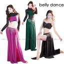 ベリーダンス 練功服 ダンスウェア ベリーダンス衣装 上下セット 長袖 シースルー メッシュ タッセル ダンススカート スリット入り 練習着 衣装 セット スカ...