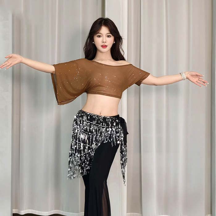 ラメ入り ベリーダンス トップス メッシュ へそ出し 半袖 ダンス トップス シース...