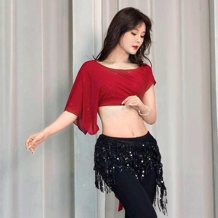 ラメ入り ベリーダンス トップス メッシュ へそ出し 半袖 ダンス トップス シース...