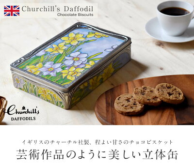 Churchill's Daffodil(チャーチル)ベルジャンチョコチップビスケット スイセン