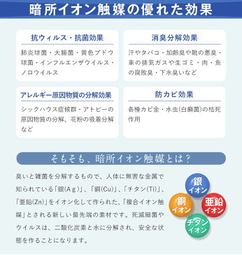 あす楽対応 日本製 ウイルス除去 イオン除菌スプレー 3本セット 抗菌 消臭 マスクスプレー 除菌スプレー 予防 ウイルスブロック ウイルスガード ウイルス対策 消毒 花粉対策 細菌 60ml 外出用 携帯用 ION-SP