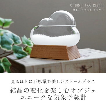 ストームグラス クラウド テンポドロップ 天気予報 結晶 天候 雲型 ガラス 気象予報 フィッツロイ気象計 置物 オブジェ 雑貨 気温 天気 季節 サイエンス 科学 インテリア 誕生日 新築祝い 引っ越し祝い プレゼント ギフト おしゃれ シンプル IT445-STGCL
